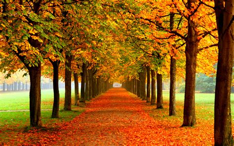 Fall Thanksgiving Wallpaper 60 Images