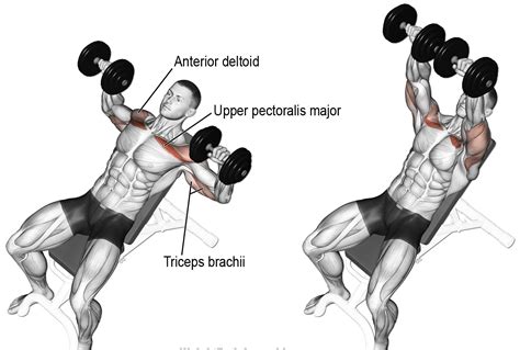 6 Chest Workouts Best Chest Exercises For Beginners At The Gym
