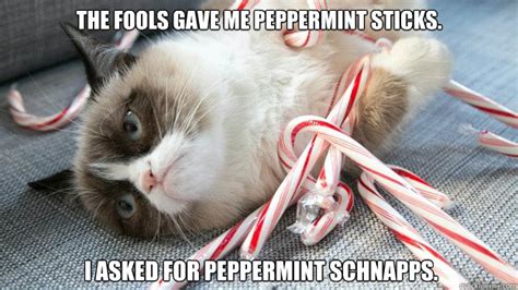 Grumpy Cat Christmas Memes Quickmeme