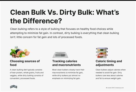 Clean Bulk Vs Dirty Bulk Pros And Cons Plus How To Choose Levels