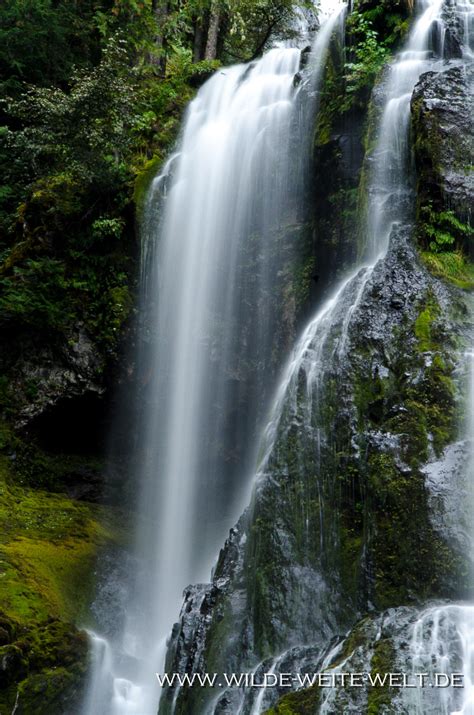 Falls Creek Falls Ford Pinchot National Forest Wilde Weite