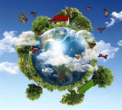 Why Environmental Management System Certification Is In Demand Az Web