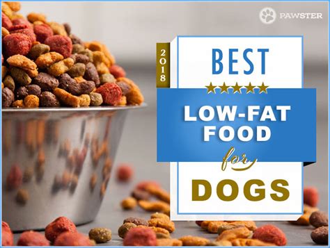 6 best canned dog food for pancreatitis. Best Low Fat Dog Foods for Pancreatitis