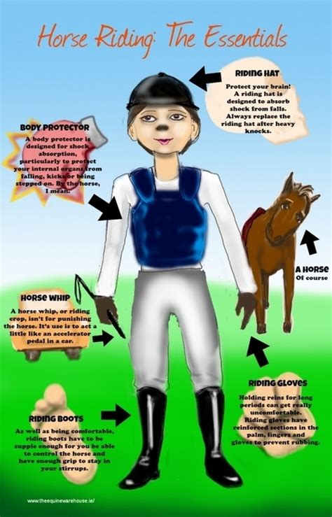 What Makes A Horse Rider Infographic Inforgraphics Park Seo
