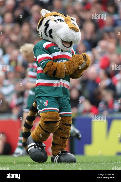 Leicester Tigers Mascot Welford Hi Res Stock Photography And Images Alamy