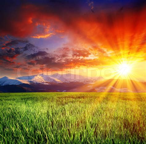 Beautiful Sunset Over Field With Green Grass Stock Image Colourbox