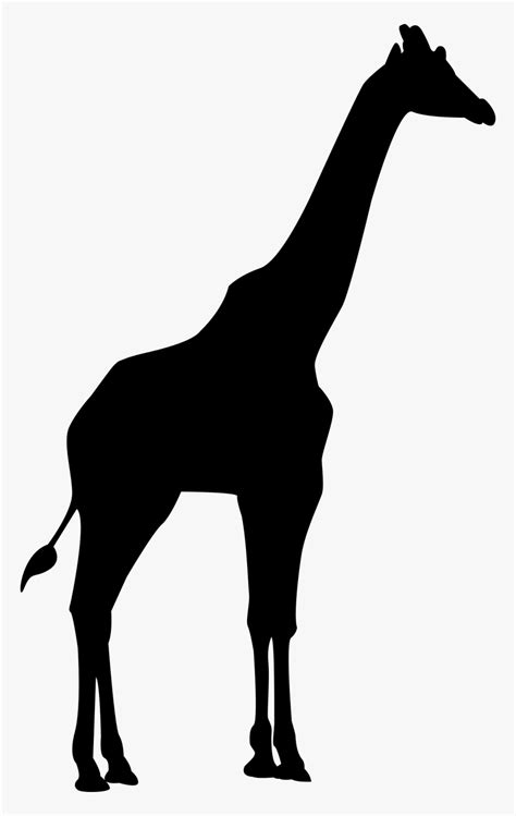 15 Silhouette Of Wild Animals Tips Temal