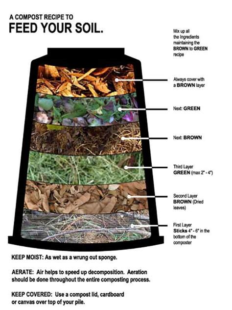 How To Start A Compost Pile For Your Organic Garden