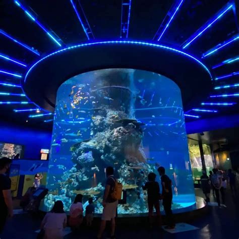 Sea Aquarium Singapore Sentosa Beautiful Voyager