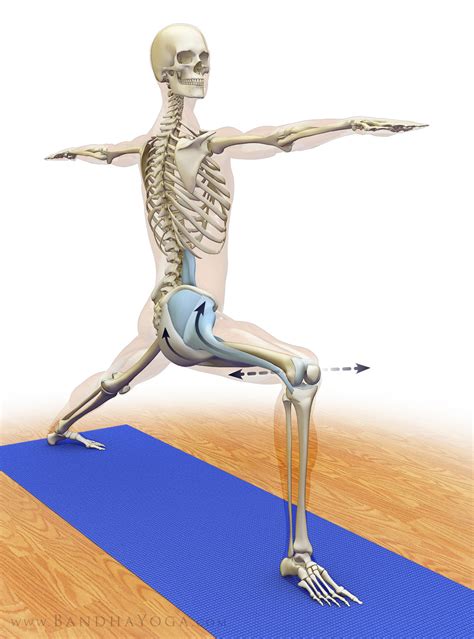 The Daily Bandha: Preventing Yoga Injuries vs Preventing Yoga, Part III: Joint Mobility 