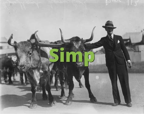 Simp What Does Simp Mean