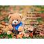Quote About Teddy Bears / Quotes My Bear 28  Best