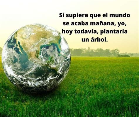 Introducir 84 Imagen Frases De Cuidar Al Medio Ambiente Abzlocalmx