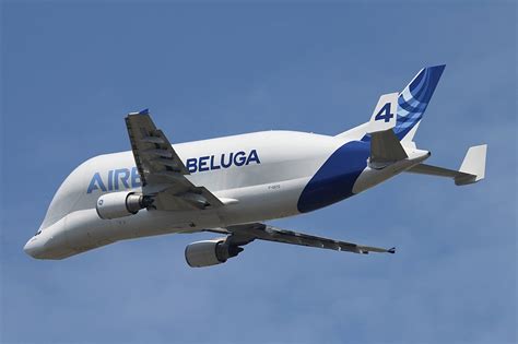 Airbus Beluga A300 600st Cargo Aircrafts Airliner Airplane