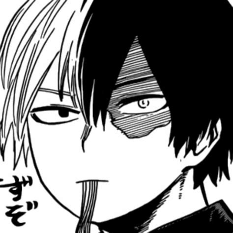 Bnha Todoroki Icons