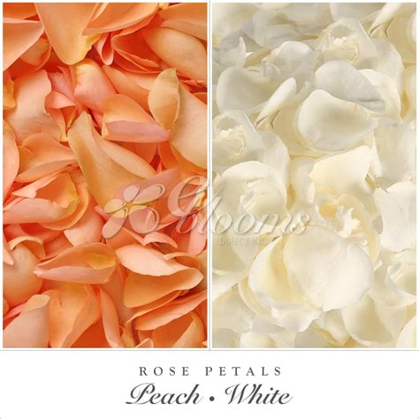 Farm Fresh Natural Rose Petalspeach And White Features Premium Rose