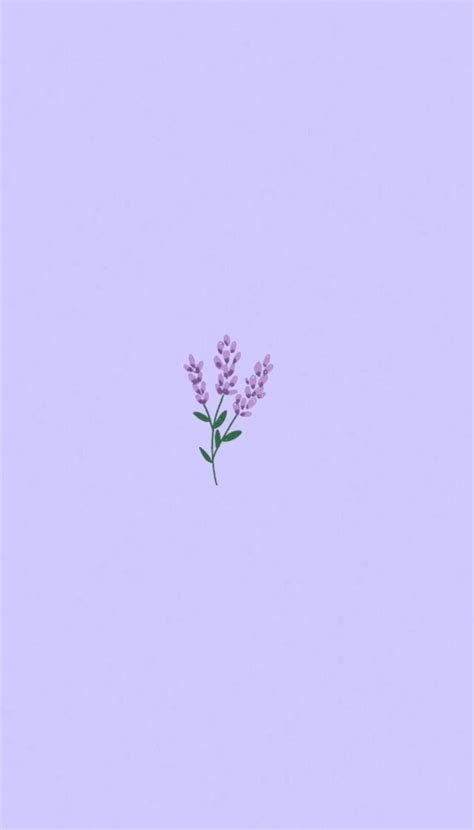 Lavender 🌂 Wallpaper Purple Flowers Wallpaper Cute Simple Wallpapers
