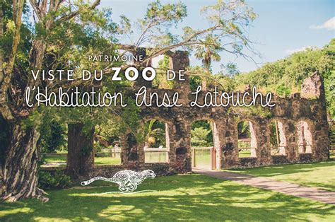 Visite Du Zoo De Lhabitation Anse Latouche En Martinique