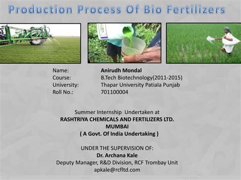 Ppt Production Process Of Bio Fertilizers Powerpoint Presentation
