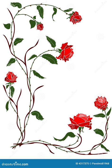 Red Rose Vine Royalty Free Stock Photo Image 4317375