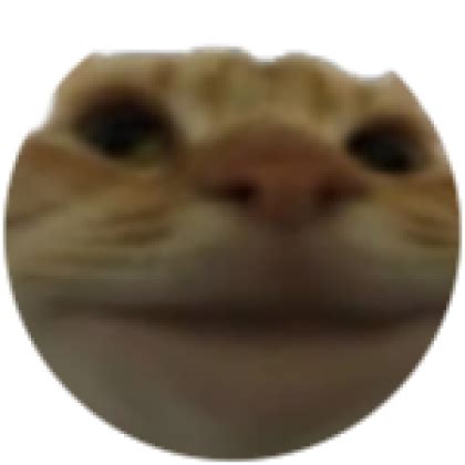 Funny cat - Roblox