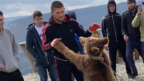 Khabib Nurmagomedov In Wrestling Match With ‘old Friend Bear Ahead Of