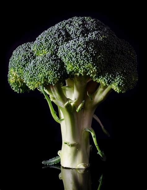 Broccoli Fodmap Everyday