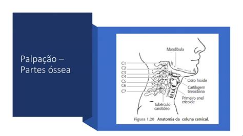 Aula Exame Físico Da Coluna Cervical Youtube