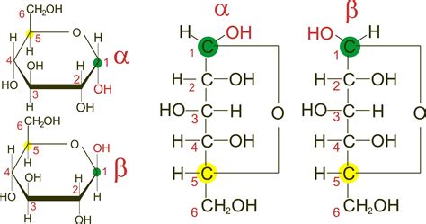 Image Result For Alpha And Beta Carbon In Glucose Functional Group