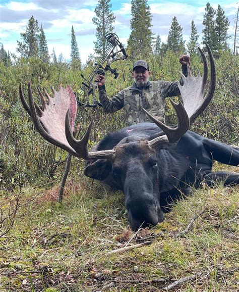 20 Colorado Moose Hunting Brydenzohan