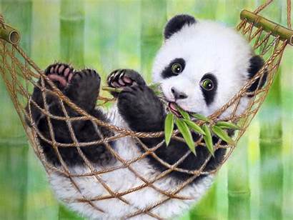 Panda Wallpapers Pixelstalk