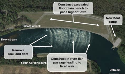 Corps Of Engineers Unveils Fish Passage Plan For Lock And Dam Savannah