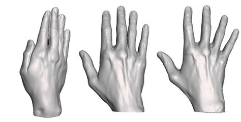 Original Stl Hand Models Created Using The 3d Scanner A S0 Fully
