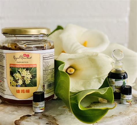 Osmanthus Absolute Oil Essential Oil Apothecary