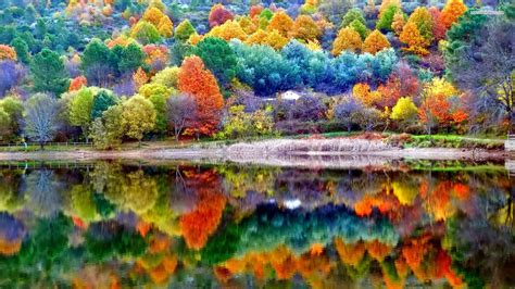 Colorful Fall Landscapes Descarga Wallpapers Full Hd Y 4k Para Pc Y