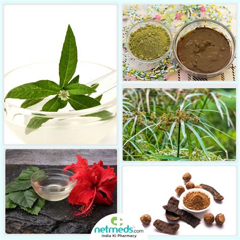 Ayurveda For Hair Loss Amazing Herbs For A Silky Strong And