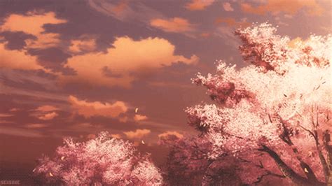 Aesthetic Pink Anime Wallpaper  Cherry Blossom  And Pink Image