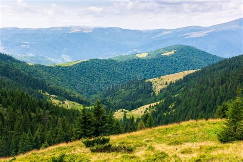 Forested Hills Of Carpathian Mountain Landscape Stock Image Image Of