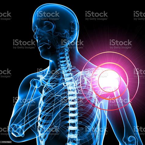 Anatomy Of Male Shoulder Pain Stock Photo Download Image Now