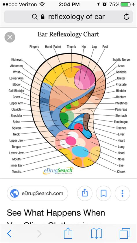 Pin By Susan On Health Ear Reflexology Reflexology Chart Sciatic Nerve