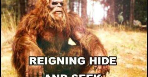 Enjoy our bigfoot quotes collection. #funny #bigfoot | Things that make me laugh | Pinterest | Bigfoot, Humor and Funny stuff
