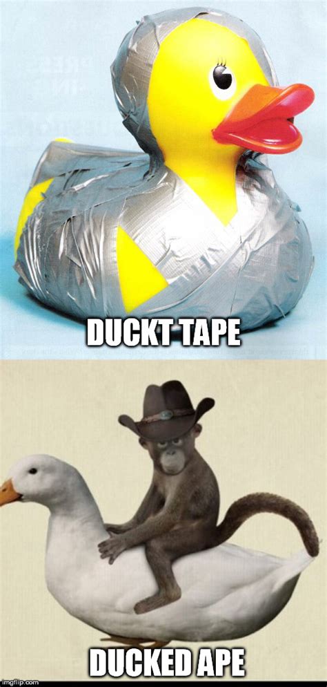 Meme Pfp Duck 25 Best Memes About Daffy Duck Daffy Duck Memes