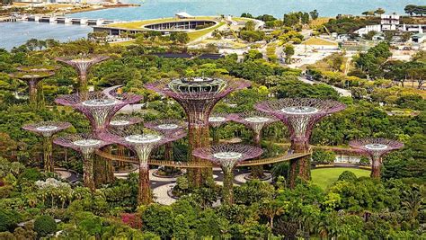Asia Singapore Park Gardens Bay The Bay Nature Super Trees Botany