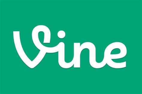 What Was Vine Looking Back On The Social Video Sharing App