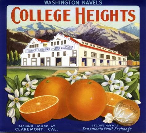Crate Label College Heights Washington Navels — Calisphere