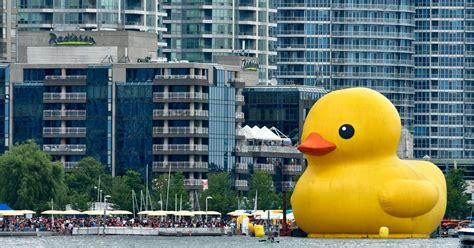 Giant Rubber Duck Returns To Canada For Toronto Redpath Waterfront
