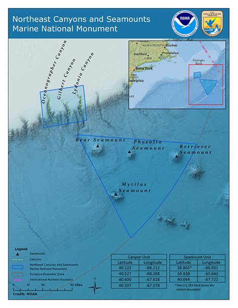 Northeast Canyons And Seamounts Marine National Monument Background