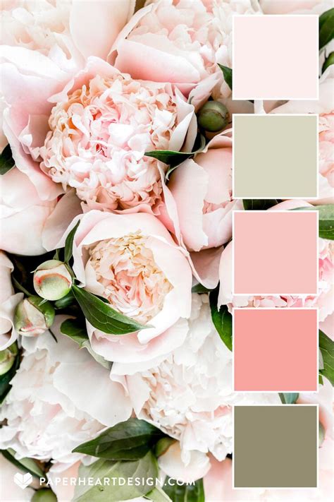 Color Palette Pretty In Pink — Paper Heart Design Color Palette Pink