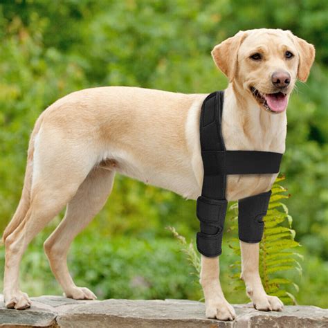 Dog Canine Front Leg Brace Paw Compression Wraps Protect Wounds Brace ...
