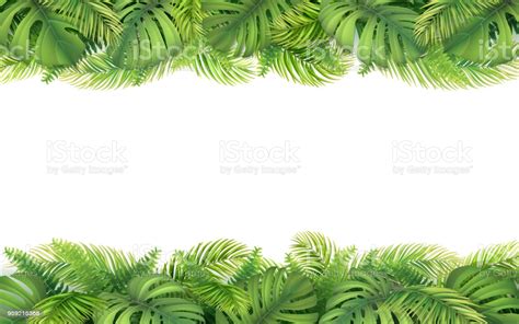Summer palm tree leaves around a square border. Border Of Tropical Leaves Stock Illustration - Download ...